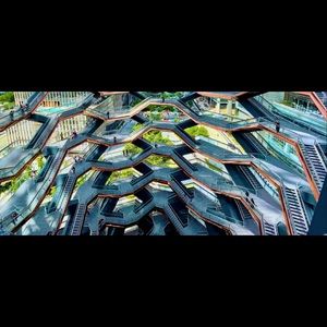 Meet your Posher, Ollie